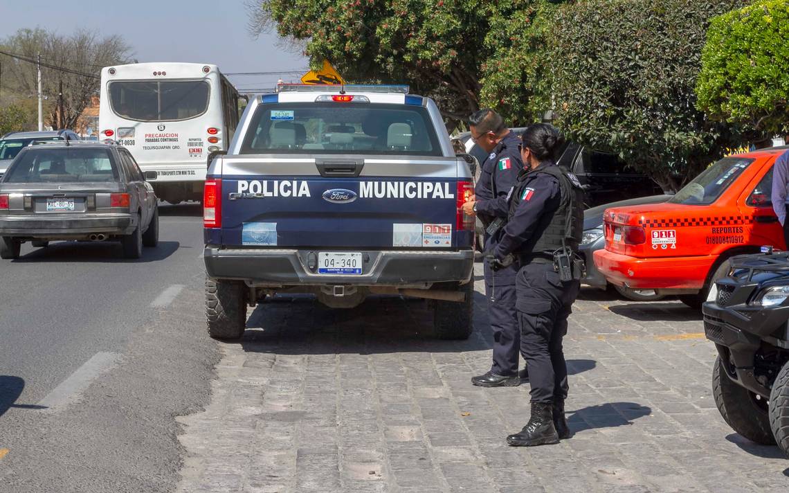 Integran Elementos Caninos A La Policía De Tequisquiapan Diario De Querétaro Noticias 2407